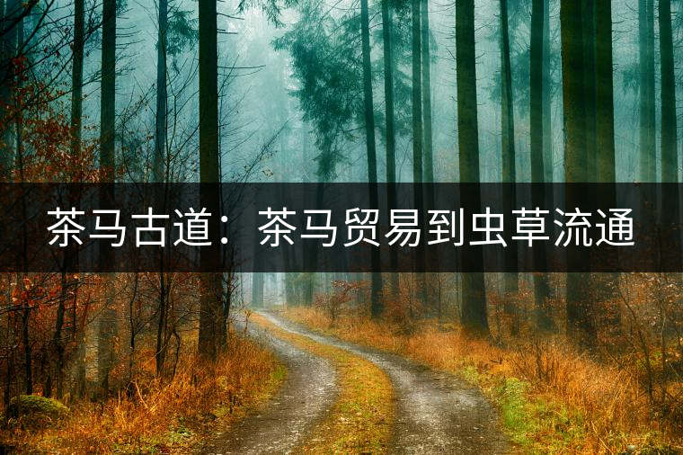 茶馬古道:茶馬貿(mào)易到蟲草流通 茶馬古道:茶馬貿(mào)易到蟲草流通