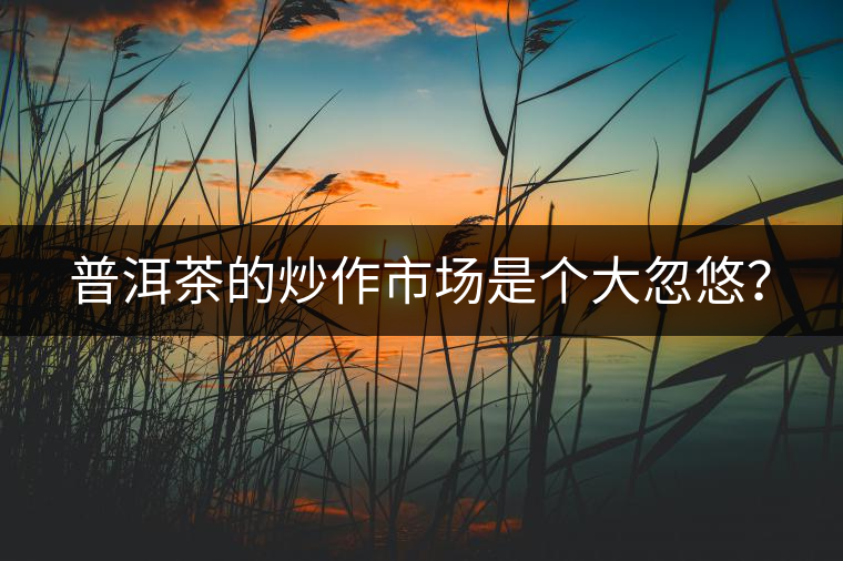 普洱茶的炒作市場(chǎng)是個(gè)大忽悠？