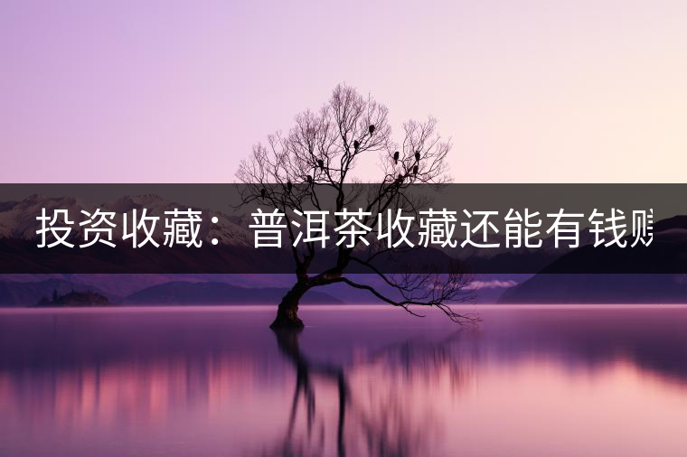 投資收藏：普洱茶收藏還能有錢賺嗎？