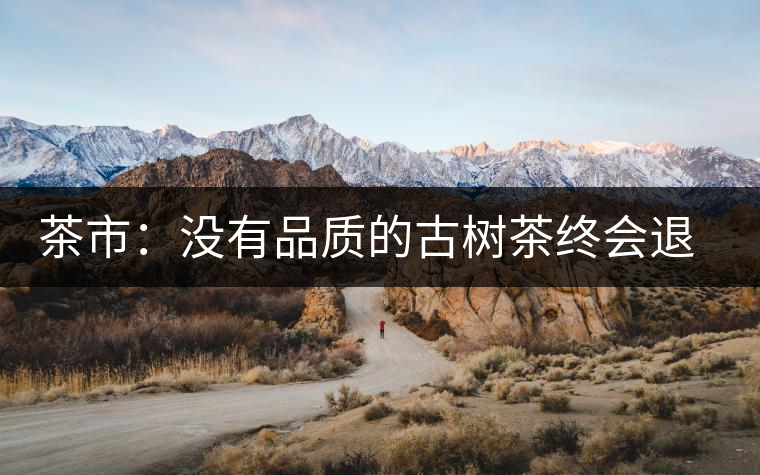 茶市：沒有品質(zhì)的古樹茶終會(huì)退出市場(chǎng)
