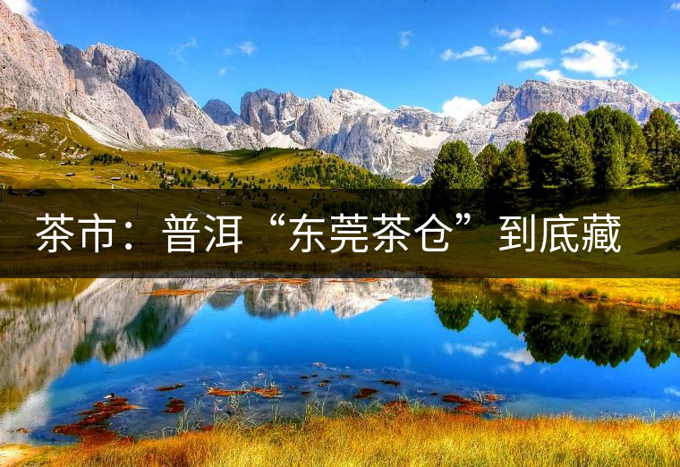 茶市：普洱“東莞茶倉”到底藏給誰喝？