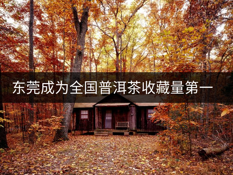 東莞成為全國(guó)普洱茶收藏量第一位的城市？