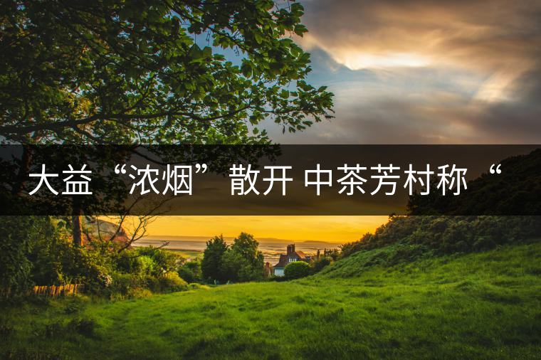 大益“濃煙”散開 中茶芳村稱“王”？