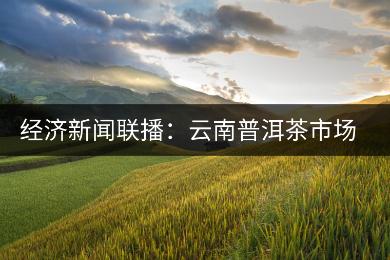 經(jīng)濟(jì)新聞聯(lián)播：云南普洱茶市場調(diào)查