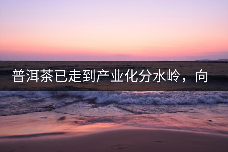 普洱茶已走到產(chǎn)業(yè)化分水嶺，向左還是向右？