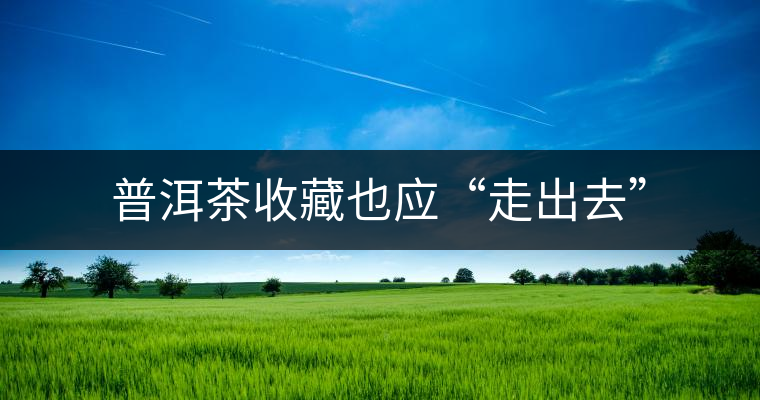 普洱茶收藏也應(yīng)“走出去”