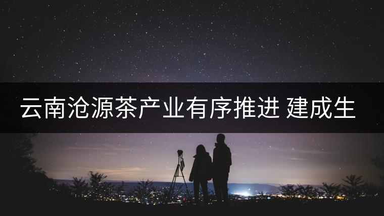 云南滄源茶產(chǎn)業(yè)有序推進(jìn) 建成生態(tài)茶園近15萬(wàn)畝