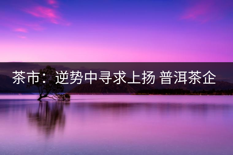 茶市：逆勢(shì)中尋求上揚(yáng) 普洱茶企靠什么打贏這場(chǎng)翻身仗？