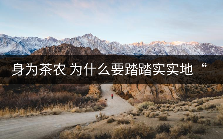 身為茶農(nóng) 為什么要踏踏實(shí)實(shí)地“放毒”！