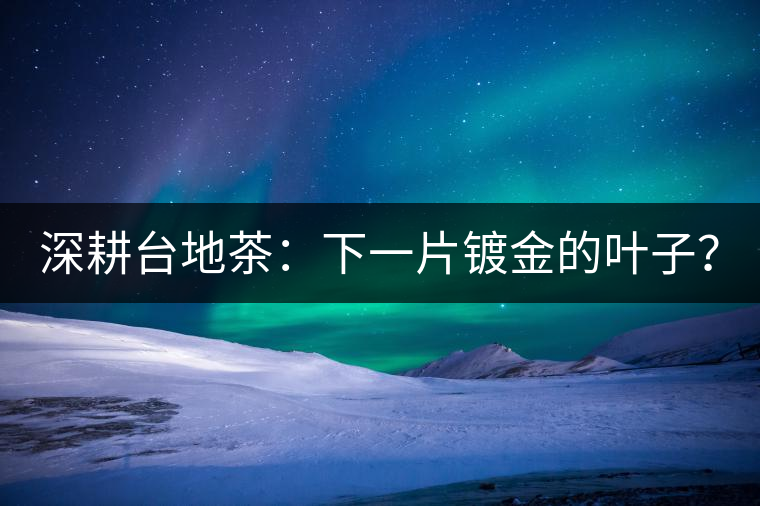 深耕臺地茶：下一片鍍金的葉子？