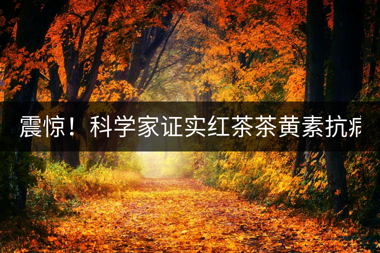 震驚！科學家證實紅茶茶黃素抗病毒新功能！