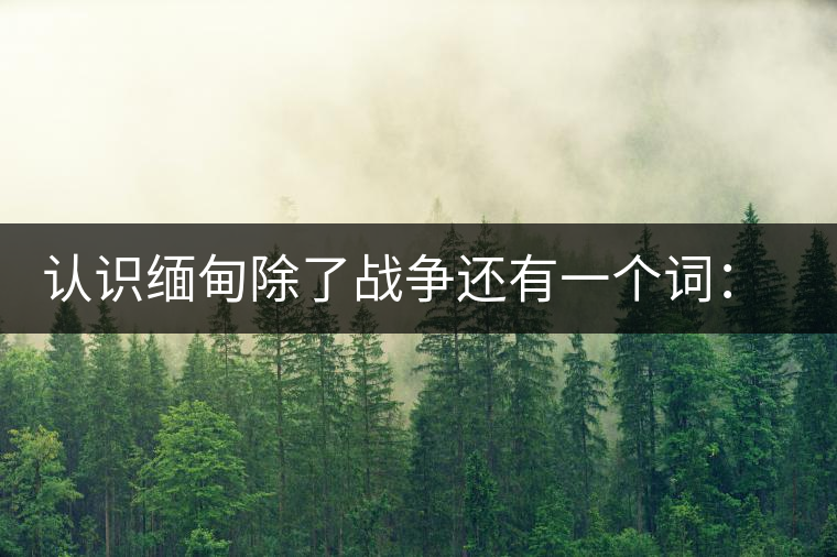 認(rèn)識(shí)緬甸除了戰(zhàn)爭(zhēng)還有一個(gè)詞:茶 認(rèn)識(shí)緬甸除了戰(zhàn)爭(zhēng)還有一個(gè)詞:茶