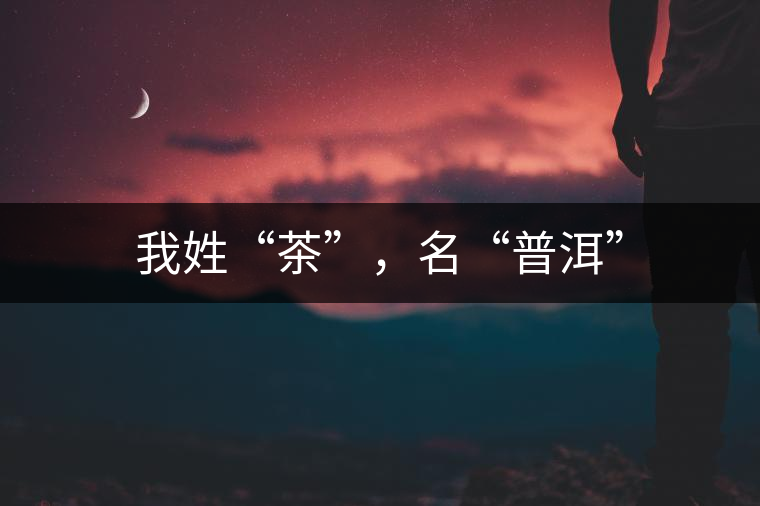 我姓“茶”，名“普洱”