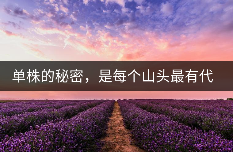 單株的秘密，是每個山頭最有代表性的味道？