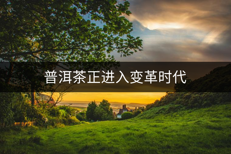 普洱茶正進(jìn)入變革時代