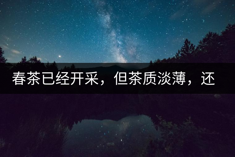 春茶已經(jīng)開采，但茶質(zhì)淡薄，還需一兩周