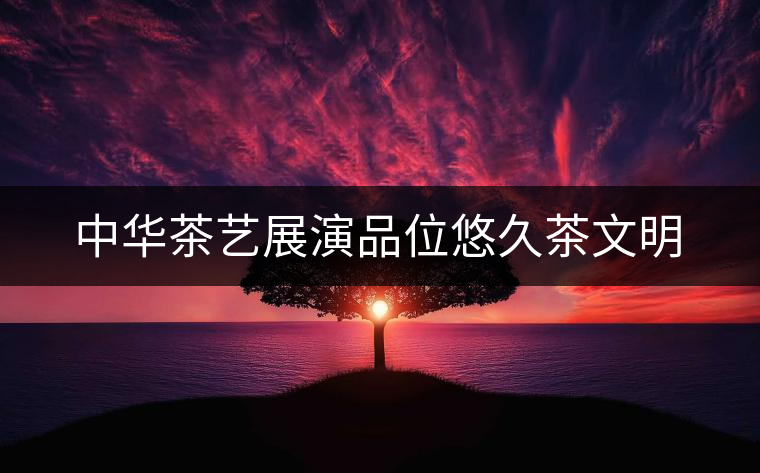 中華茶藝展演品位悠久茶文明