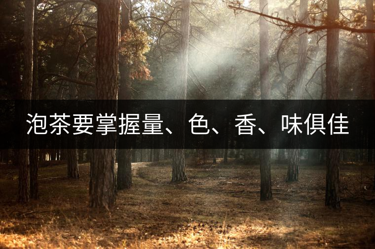 泡茶要掌握量、色、香、味俱佳