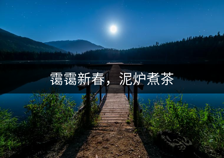 靄靄新春，泥爐煮茶