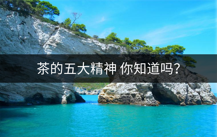 茶的五大精神 你知道嗎？