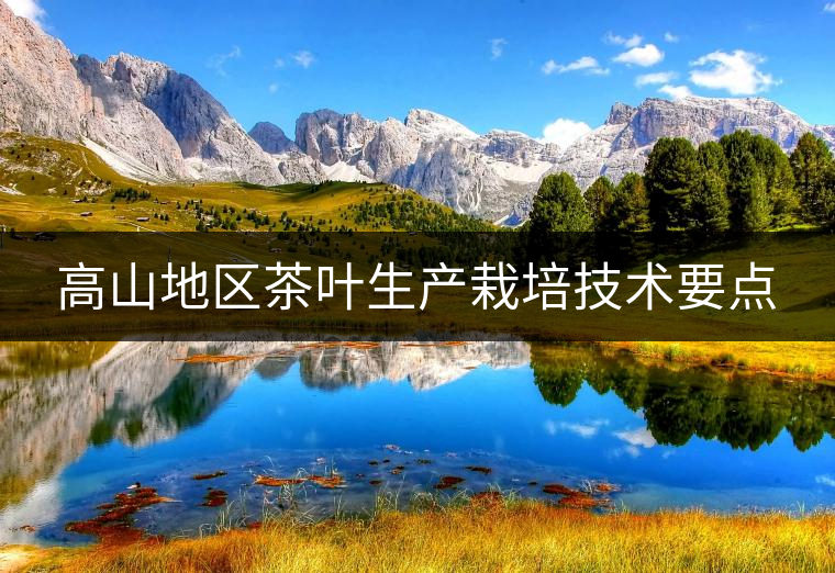 高山地區(qū)茶葉生產(chǎn)栽培技術(shù)要點(diǎn) 高山地區(qū)茶葉生產(chǎn)栽培技術(shù)要點(diǎn)