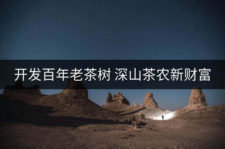 開發(fā)百年老茶樹 深山茶農(nóng)新財富