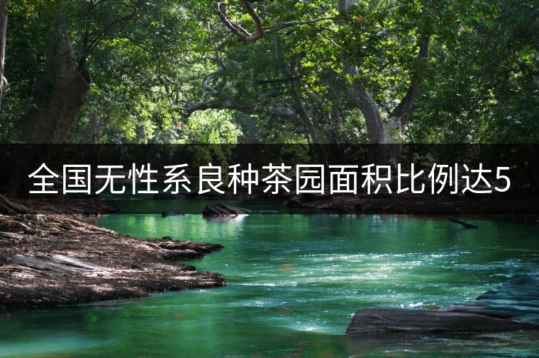 全國無性系良種茶園面積比例達(dá)56.5% 有機茶園6.2% 全國無性系良種茶園面積比例達(dá)56.5% 有機茶園6.2%