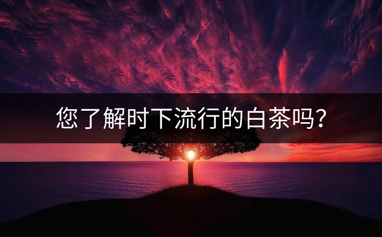 您了解時(shí)下流行的白茶嗎？