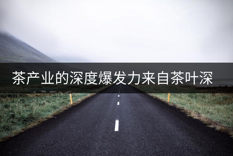 茶產(chǎn)業(yè)的深度爆發(fā)力來(lái)自茶葉深加工 茶產(chǎn)業(yè)的深度爆發(fā)力來(lái)自茶葉深加工