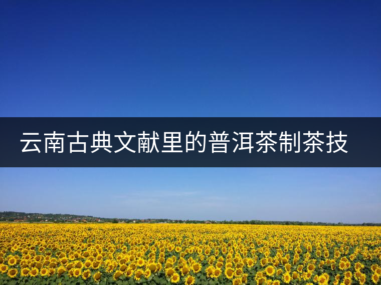 云南古典文獻(xiàn)里的普洱茶制茶技藝 云南古典文獻(xiàn)里的普洱茶制茶技藝