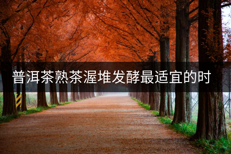 普洱茶熟茶渥堆發(fā)酵最適宜的時期是什么時候？