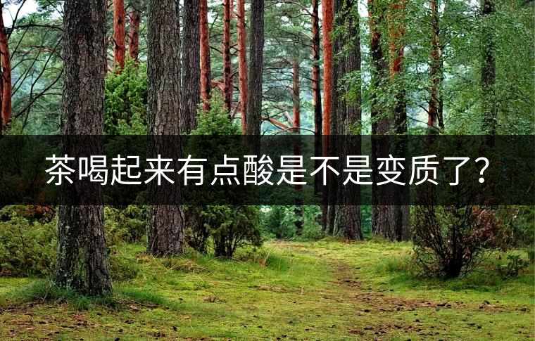 茶喝起來有點(diǎn)酸是不是變質(zhì)了？