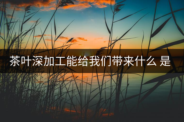 茶葉深加工能給我們帶來什么 是利還是弊呢？