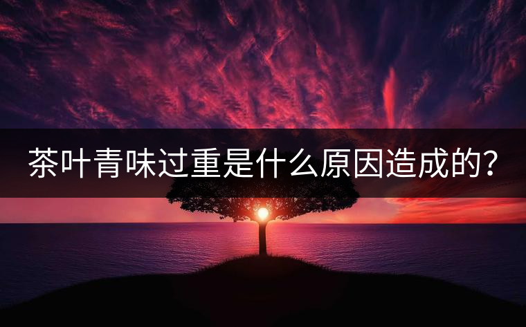 茶葉青味過重是什么原因造成的？