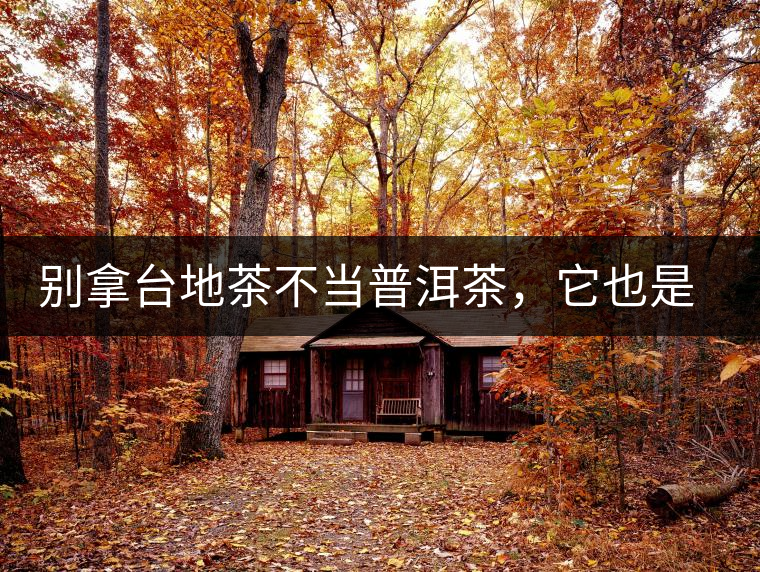 別拿臺(tái)地茶不當(dāng)普洱茶，它也是大葉種喬木