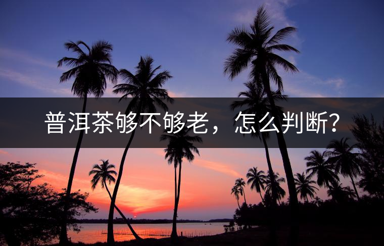 普洱茶夠不夠老，怎么判斷？