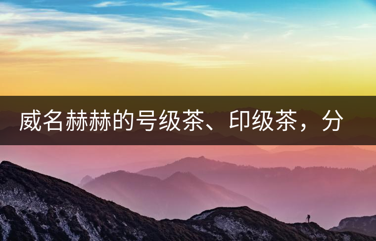 威名赫赫的號級茶、印級茶，分別是些什么普洱茶？