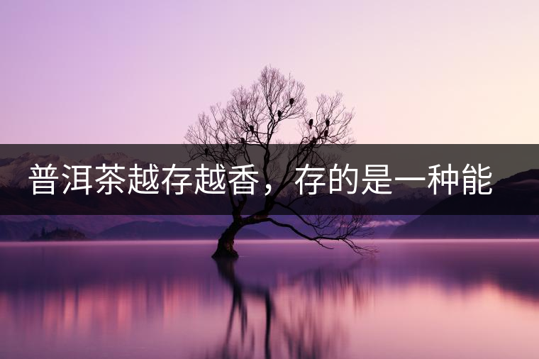 普洱茶越存越香，存的是一種能量