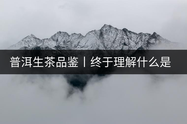 普洱生茶品鑒丨終于理解什么是“醇厚、耐泡，回甘”了