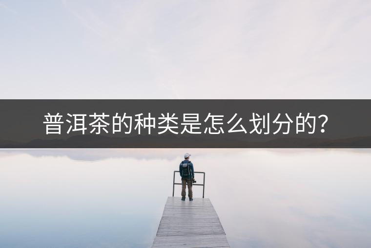 普洱茶的種類是怎么劃分的？