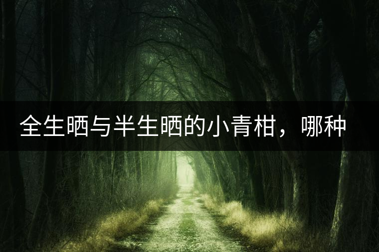 全生曬與半生曬的小青柑，哪種比較好呢？