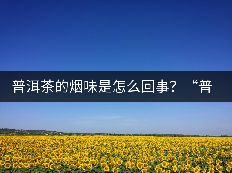 普洱茶的煙味是怎么回事？“普洱教父”白水清最新解析！