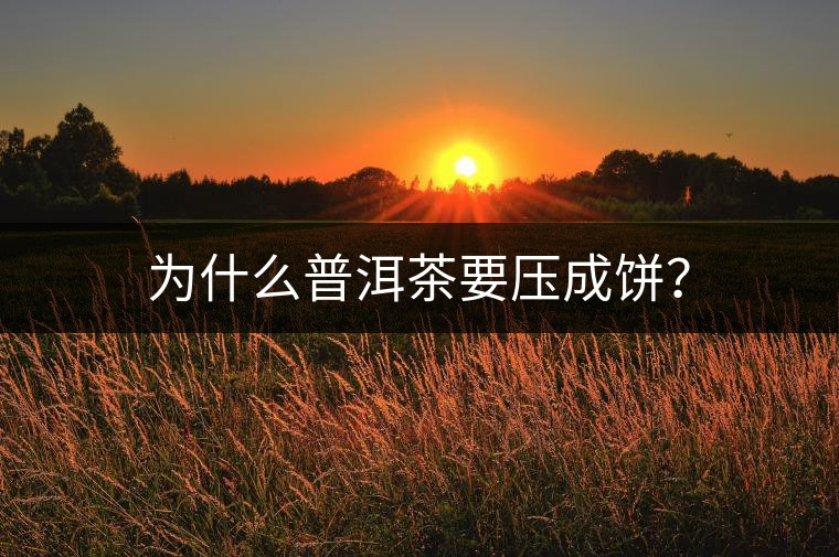 為什么普洱茶要壓成餅？