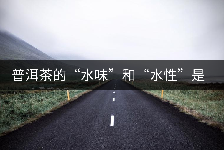 普洱茶的“水味”和“水性”是一種東西還是兩種東西？