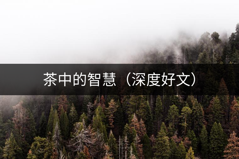 茶中的智慧（深度好文）