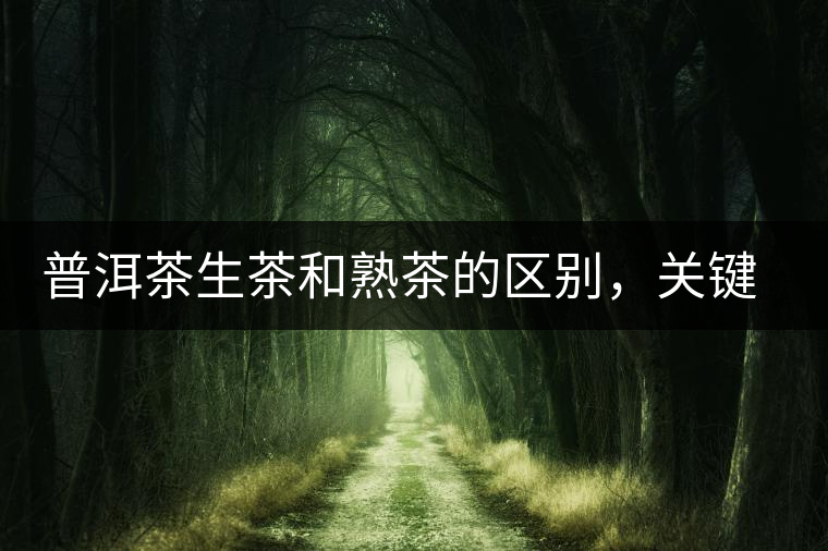 普洱茶生茶和熟茶的區(qū)別，關(guān)鍵在于前半生