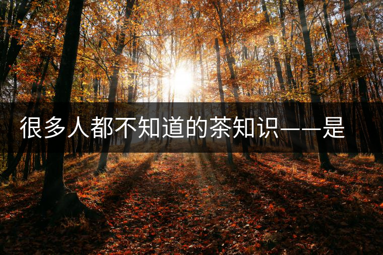 很多人都不知道的茶知識——是什么造就了普洱茶的一山一味? 很多人都不知道的茶知識——是什么造就了普洱茶的一山一味?