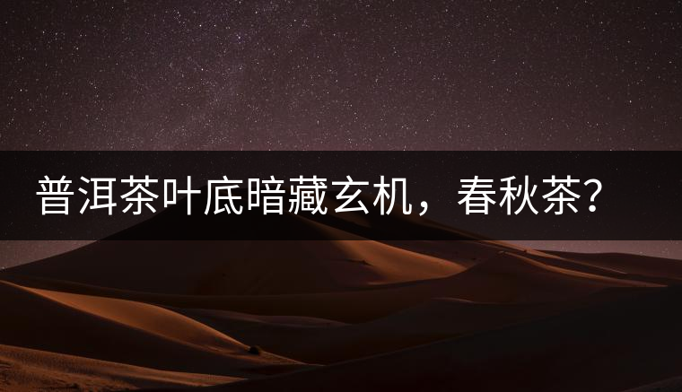 普洱茶葉底暗藏玄機(jī)，春秋茶？大樹茶？野生茶？班章料？你讀懂了嗎？
