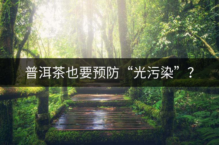 普洱茶也要預(yù)防“光污染”？