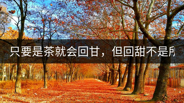 只要是茶就會(huì)回甘，但回甜不是所有茶都有！